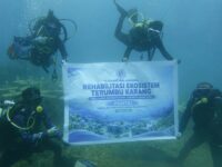 PT KONAWE NIKEL NUSANTARA REHABILITASI TERUMBU KARANG DI KONAWE UTARA