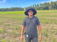 Sawah Petani Tongkoseng Kekeringan, FPPB Minta Pemerintah Segera Hadir dan Cari Solusi