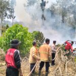 Kebakaran Lahan 5 Hektare di Kolaka Timur, Polisi dan Warga Bergerak Cepat Padamkan Api