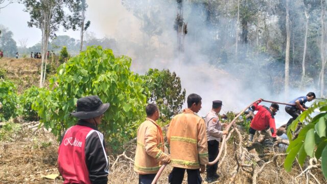 Kebakaran Lahan 5 Hektare di Kolaka Timur, Polisi dan Warga Bergerak Cepat Padamkan Api